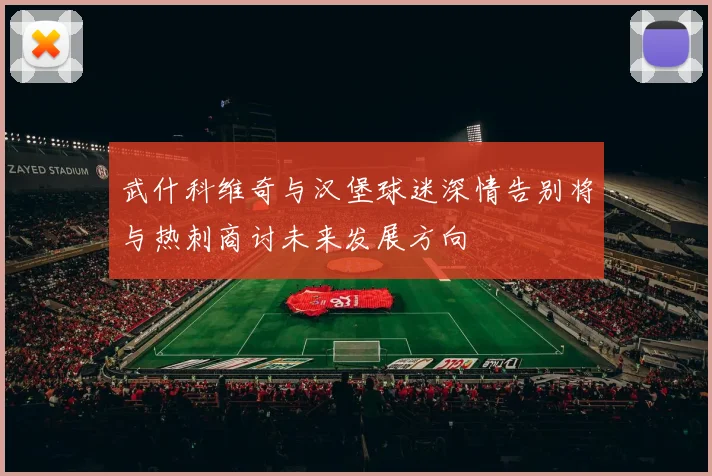 武什科维奇与汉堡球迷深情告别将与热刺商讨未来发展方向